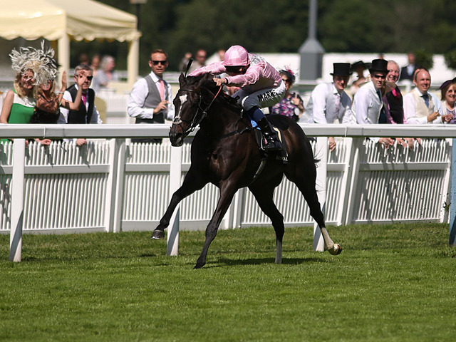 The Fugue brilha em Royal Ascot. Trêve chega em terceiro.