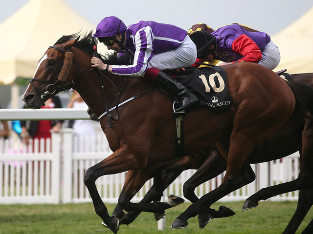 Leading Light é o campeão da Gold Cup (G1), em Royal Ascot