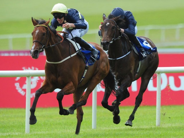 No Pretty Polly Sakes (G1), em Curragh, triunfo de Thistle Bird