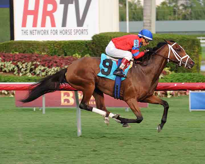 Viva Rafaela corre sábado em Belmont