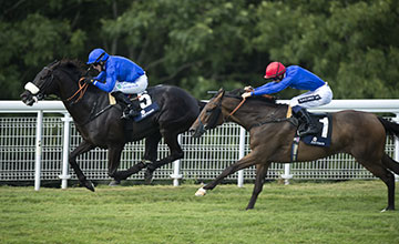 Cavalryman, o mais velho do lote, ganhou a Goodwood Cup (G2)