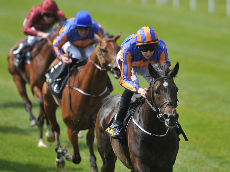 Nove correm sábado o King George VI and Queen Elizabeth Stakes (G1), em Ascot