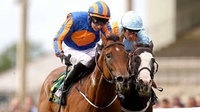 Dick Whittingon confirma no Phoenix Stakes (G1), em Curragh