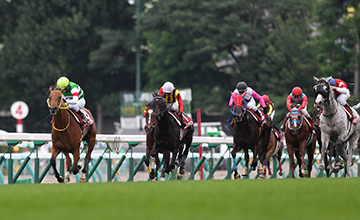 Harp Star confirma presença no Arc 2014 com a sua vitória no Sapporo Kinen (G2)