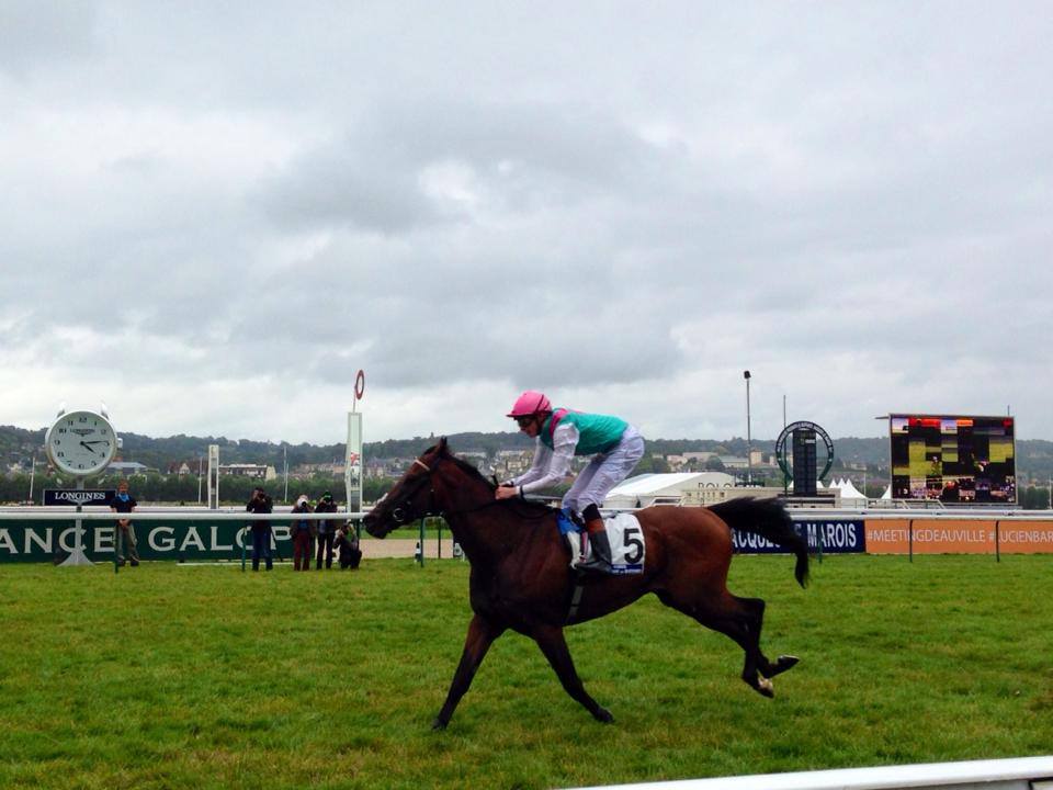 Kingman, o imperador da milha, vence o fundamental Prix Jacques Le Marois (G1)