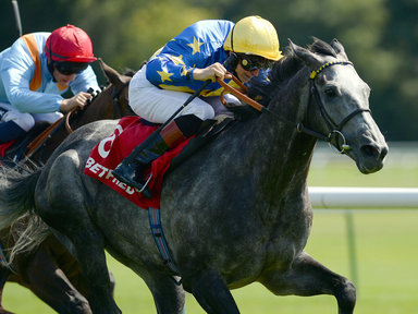 Em Haydock, Amralaha leva o Rose of Lancaster Stakes (G3) e o brasileiro Energia Davos vence um handicap