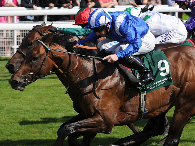 No último dia do meeting de York, o Gimcrack Stakes (G2) foi de Muhaarar