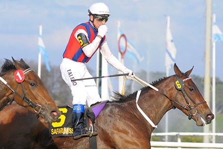 Safari Miss, do Araras, foi a campeã do Gran Premio Mil Guineas (G1), em San Isidro