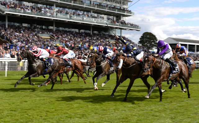 Sole Power, o velocista do momento na Europa, venceu o seu segundo Nunthorpe Stakes (G1)