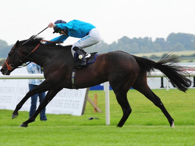 Galope de Brown Panther no Irish St. Leger Stakes (G1)