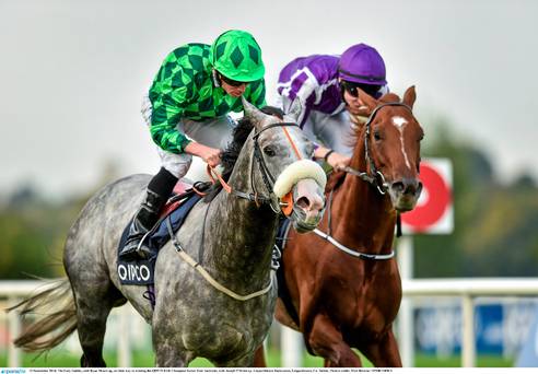 The Grey Gatsby derrotou Australia no Irish Champion Stakes (G1), em Leopardstown