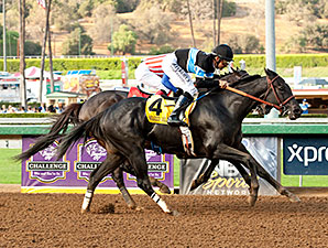 Shared Belief manteve a sua preciosa invencibilidade