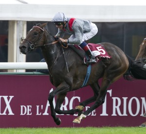 Trêve volta na grande festa deste domingo em Longchamp. Going Somewhere também corre