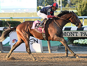 Tonalist vence a Jockey Club Gold Cup e Viva Rafaela chega em terceiro no Flower Bowl no festivo sábado em Belmont