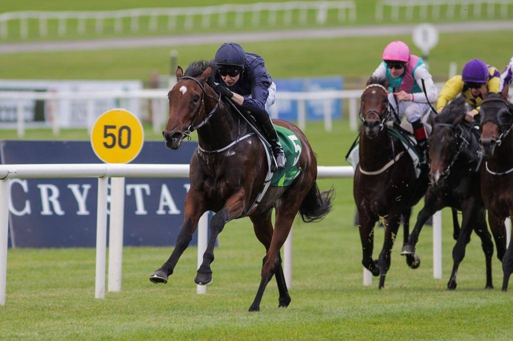 Ol’Man River impressiona em Curragh ao vencer o Beresford Stakes (G2)