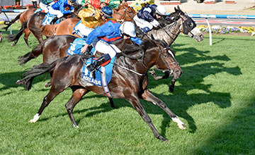 A grande Cox Plate (G1), na Austrália, foi de Adelaide