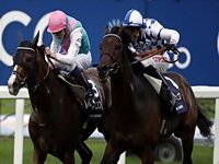 Noble Mission repete o feito de seu irmão próprio Frankel e vence o Champion Stakes (G1)