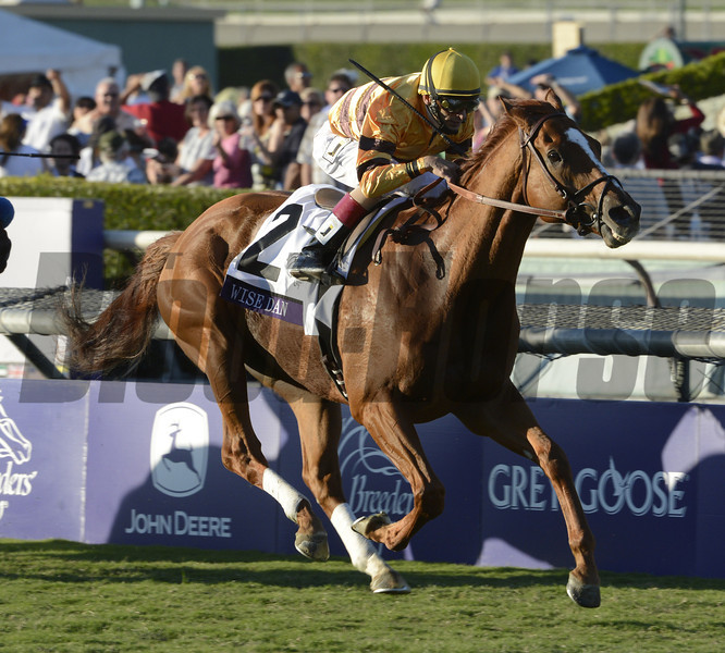 Wise Dan fora da Breeder’s Cup