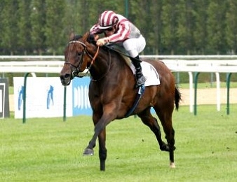 Nove correm o Champion Stakes (G1) no sábado. Cirrus des Aigles é o favorito.