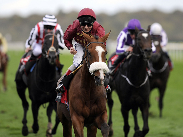 No fundamental Racing Post Trophy (G1), em Ascot, fácil vitória de Elm Park