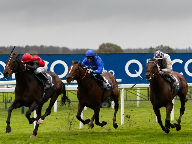 O Cumberland Lodge Stakes (G3) foi de Pether’s Moon. Energia Fribby foi última.