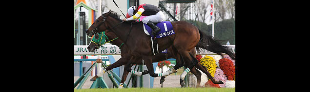 Lachesis, em belo final, venceu a Queen Elizabeth Cup II (G1), em Kyoto