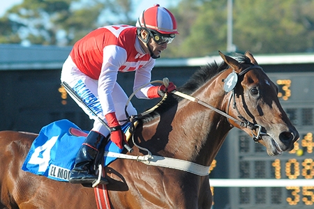 Sábado em Palermo o Gran Premio Nacional (G1) com a presença de El Moises