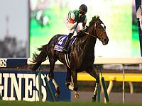 A Japan Cup (G1) foi, em grande estilo, de Epiphaneia e Soumillon