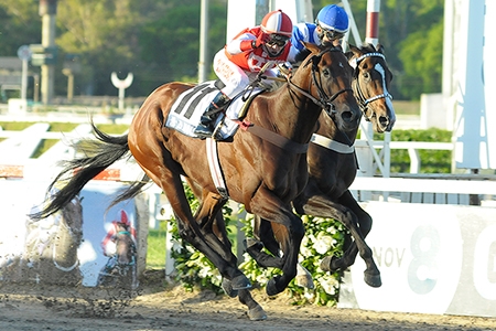 O Gran Premio Nacional (G1), em Palermo, foi mesmo de El Moises