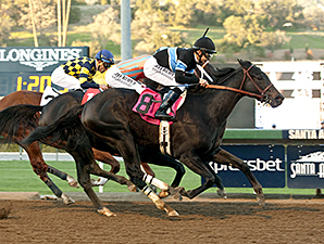 Shared Belief voltou com vitória nos 1.400m do Malibu Stakes (G1)