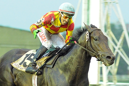 Campeão do Gran Premio Palermo (G1), Todo un Amiguito venceu a milha internacional de San Isidro