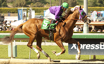 California Chrome, o grande ganhador do Eclipse Award