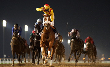 Em Meydan, Surfer vence o Al Maktoum Challenge R1 (G2). Brasileiro Grand Salute foi o antepenúltimo.