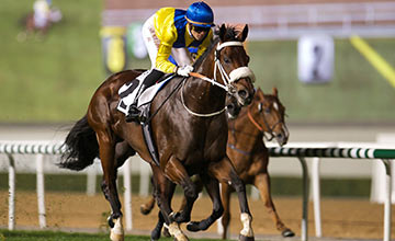 Vercingetorix e Cladocera, com Soumillon no dorso, venceram as duas provas de G2 em Meydan.