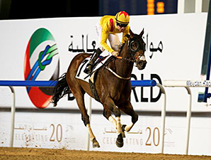 Energia Davos chega terceiro em handicap em Meydan. Reyanaldoathewizard  vence listed.