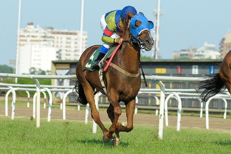 Alma de Acero, com F. Leandro,  venceu o Gran Premio Miguel Alfredo Martinez de Hoz (G1)