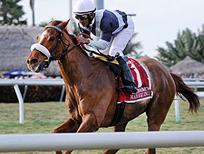 Main Sequence brilhou no Mac Diarmida Stakes (G2), em Gulfstream Park