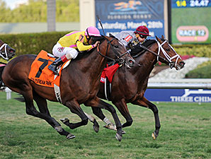 Com Mshawish e Sandiva, Al Shaqab Racing venceu duas provas de Grupo em Gulfstream