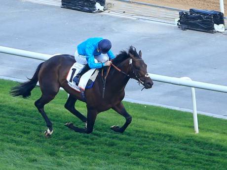 Em Meydan, Brown Panther levanta a Dubai Gold Cup (G2)