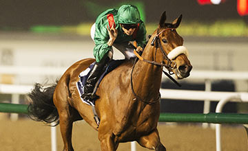 Dolniya brilha no Dubai Sheema Classic (G1). Solow vence de forma esmagadora a Dubai Turf (G1)