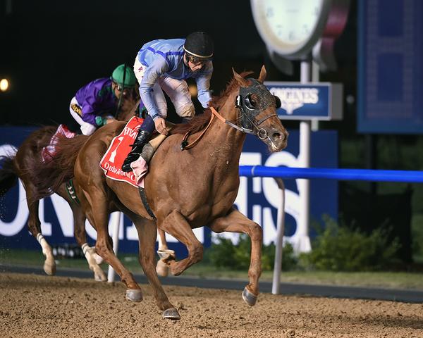 Prince Bishop domina com nitidez California Chrome na Dubai World Cup (G1)