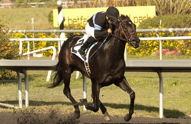 Shared Belief lidera os ratings de 1 de janeiro a 8 de março