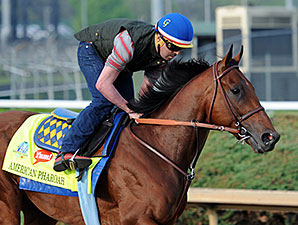 Favorito American Pharoah larga da baliza 18 no Kentucky Derby (G1), sábado