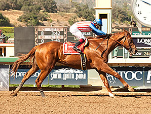 Dortmund, Frosted e Carpe Diem, a caminho do Kentucky Derby (G1)