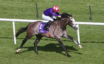 John F. Kennedy, o favorito nas apostas para o Derby, fracassa campletamente no Ballysax Stakes (G1). Vitória do tordilho Success Day.