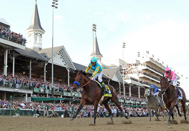 American Pharoah servirá na Coolmore