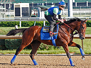 American Pharoah larga da baliza 1 no Preakness Stakes (G1), sábado