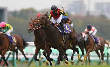 O derby-winner japonês de 2015 é Duramente