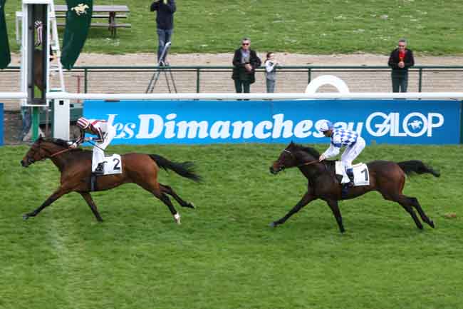 O grande Cirrus des Aigles chegou a seu terceiro Prix Ganay (G1)