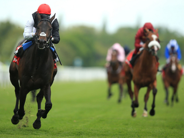 Golden Horn vence muito bem o Dante Stakes (G2), em York, e se apresenta como ótimo candidato ao Derby